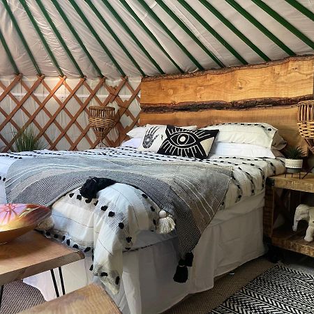 O Dan Y Coed Luxury Yurt With Hot Tub Chwilog Exterior photo