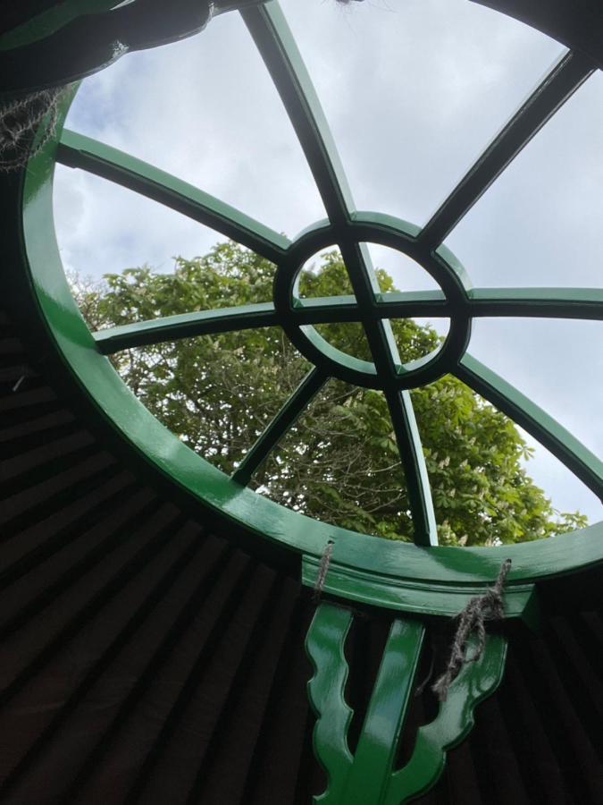 O Dan Y Coed Luxury Yurt With Hot Tub Chwilog Exterior photo